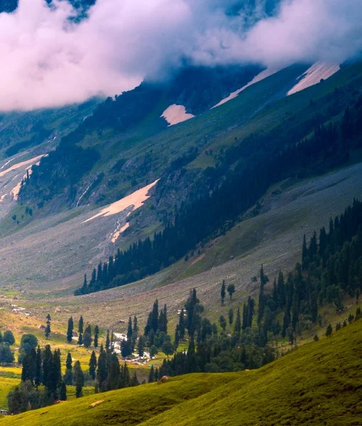 Kashmir